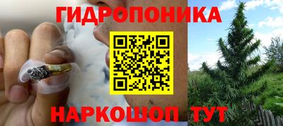 мяу мяу мука Бугуруслан