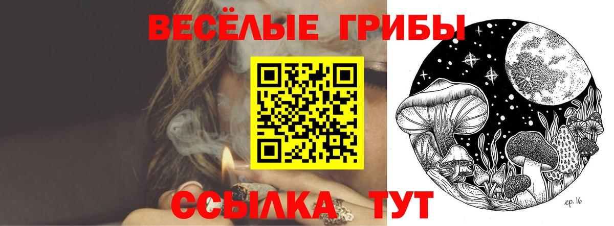 Псилоцибиновые грибы прущие грибы  Вход с VPN  Пушкино 
