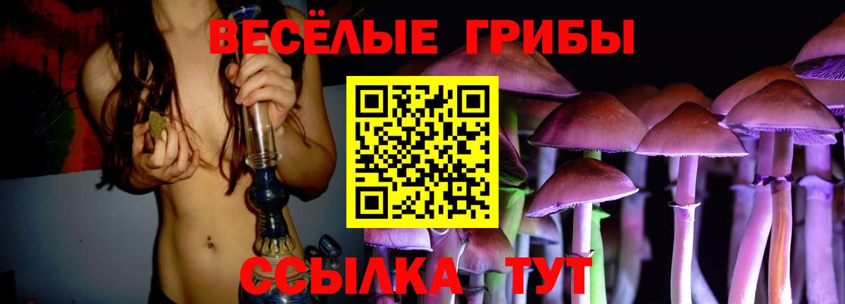 Галлюциногенные грибы Magic Shrooms Пушкино